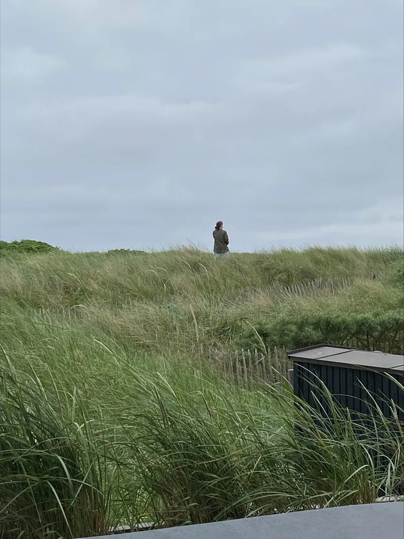 Dunes with marram grass under a grey sky