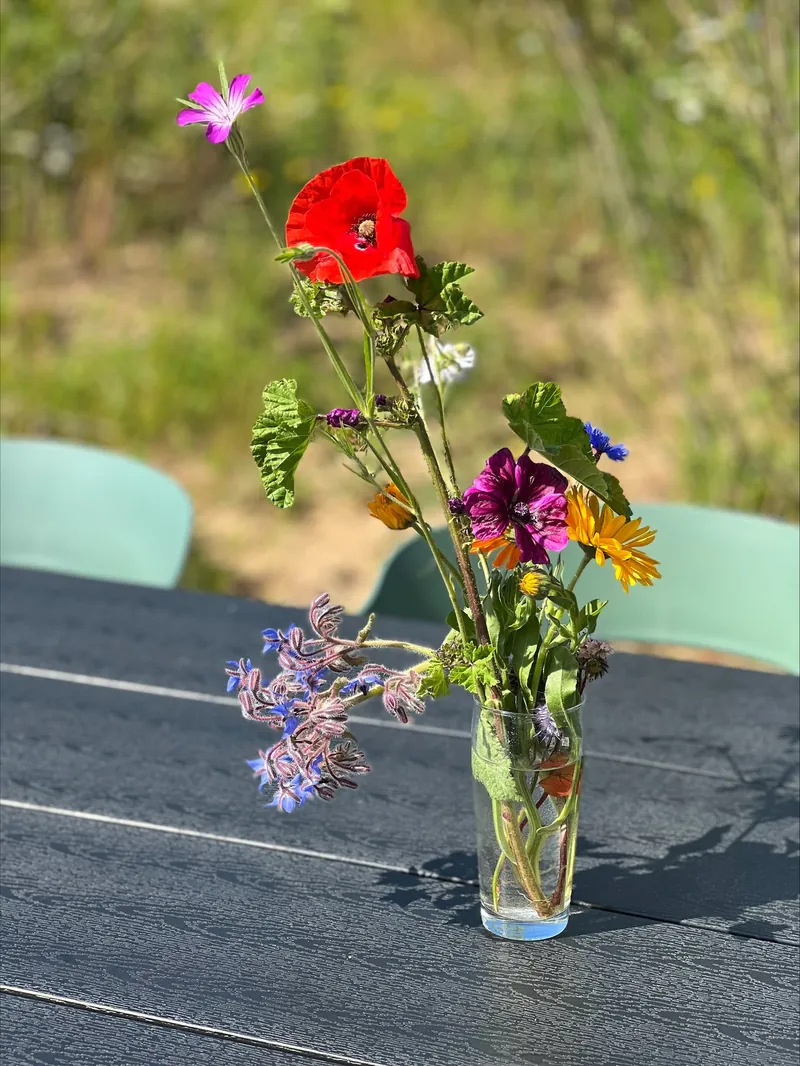 A bunch of wildflowers in a glass on an outdoor table