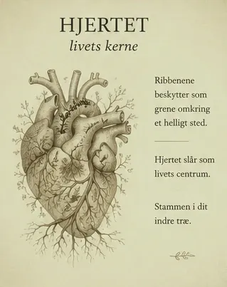 The heart, the core of life. The ribs protect like branches around a sacred place. The heart beats as the centre of life.