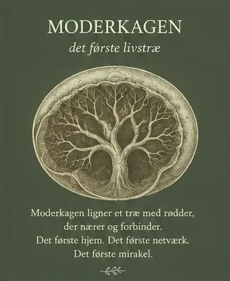 The placenta, the first tree of life. The placenta resembles a tree with roots that nourish and connect. The first home. The first network. The first miracle.