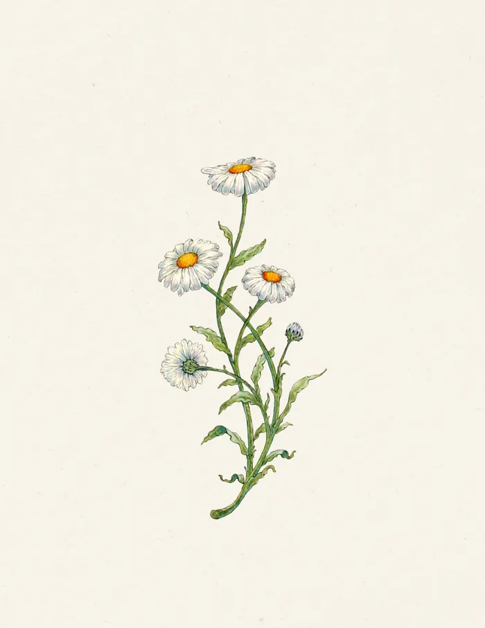Hand-painted chamomile on linen