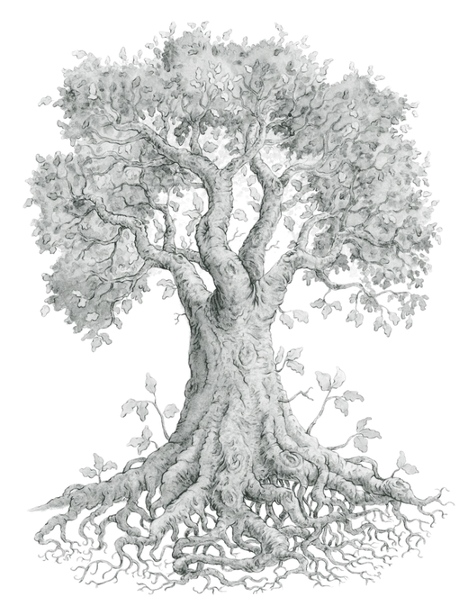 The pencil sketch of the Life Tree